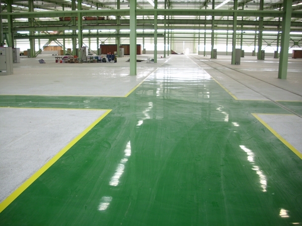 ������ƺ����